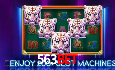 Apostas de Basquete 563bet