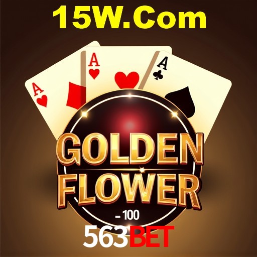 Interface Premium 563bet